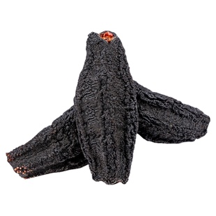 OCEAN FEAST加拿大进口淡干海参干货野生北极参圆筒精品级454g