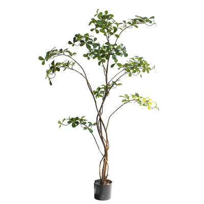 比美工艺品榄仁树高端仿真绿植物