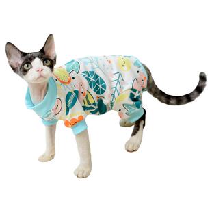 德文卷毛猫衣服保暖小幼猫咪穿的衣服无毛猫四脚衣秋冬季宠物专用