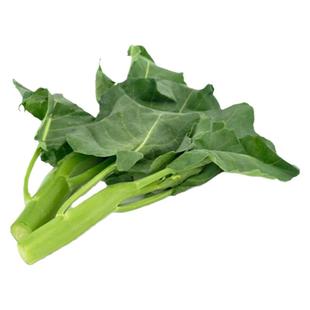 芥兰种子芥蓝大田露天种植春季夏秋冬四季播盆栽种籽广东蔬菜种孑