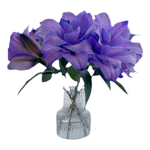 紫霞仙子紫重瓣香水百合花束云南直发鲜花A级节日礼物供佛鲜切花