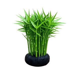 南美青竹鱼缸水草专用植物坨草净化水质养鱼造景装饰阴性增氧花盆