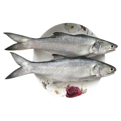 马友鱼午笋鱼一斤2条处理前500g