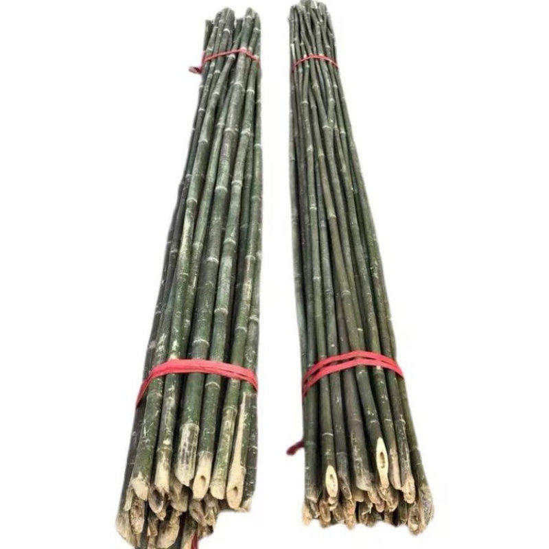 竹竿菜园搭架蔬菜番茄豆角黄瓜架杆竹篱笆栅栏小竹子细竹竿葡萄架