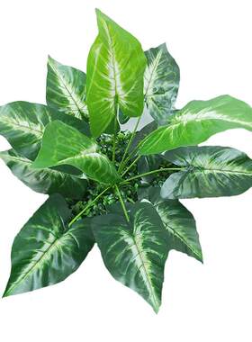 塑料假草坪背景墙波斯叶仿真植物