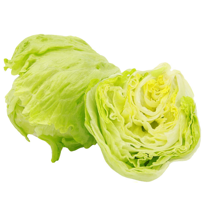 好新鲜球生菜沙拉蔬菜轻食食材西餐汉堡火锅生菜配菜顺丰速运包邮