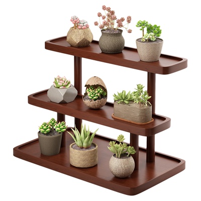 实木桌面展示多肉花架