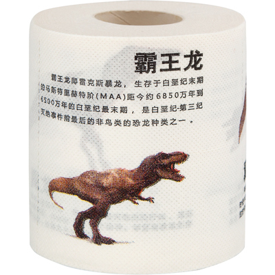恐龙印花卷纸家用有芯卷筒纸