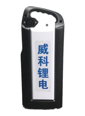 台铃全新锂电池48v20A电动车电瓶