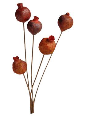 进口石榴干花干果真果实装饰
