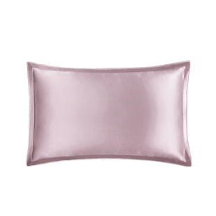 桑罗22姆米重磅真丝枕套亲肤丝滑100%桑蚕丝枕头套成人枕套单只