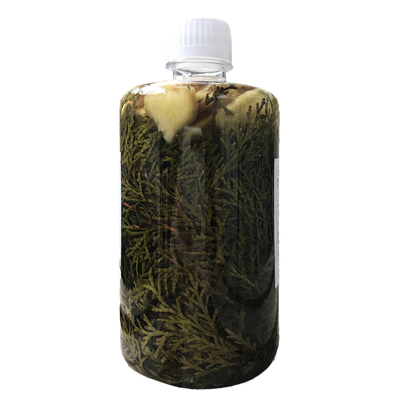 天然侧柏叶药酒生姜骨碎补手工中