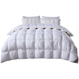 五星级酒店京希尔顿白鹅绒冬被抗菌春秋羽绒被子被芯家用加厚保暖