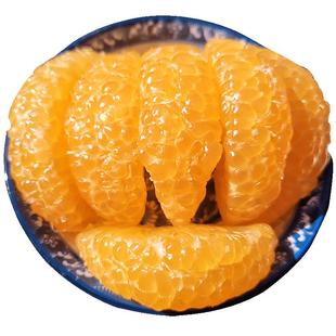 鲜农惠农家自种常山30年老树胡柚新鲜黄心小柚子整箱10斤孕妇水果