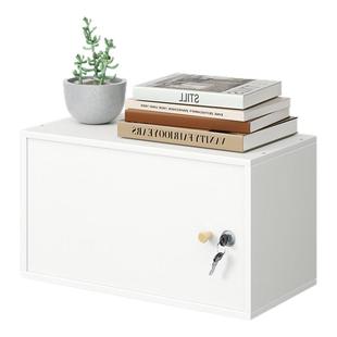 食品添加剂专用柜木质留样柜小型单门储物柜带锁重要物品收纳矮柜