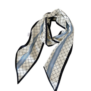 细窄丝巾小长条女秋冬新款时尚百搭发带领巾洋气装饰夏季搭配衬衫