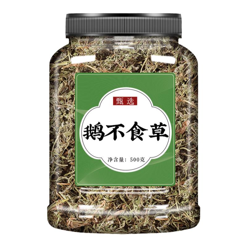 鹅不食草中药材新鲜官方旗舰店正品中草药苍耳子鹅不吃草泡水喝茶