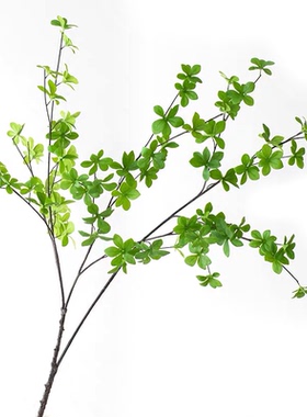 家居花艺装饰吊钟马醉木树枝