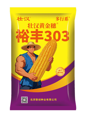 高产玉米种子正品大棒矮杆抗旱涝