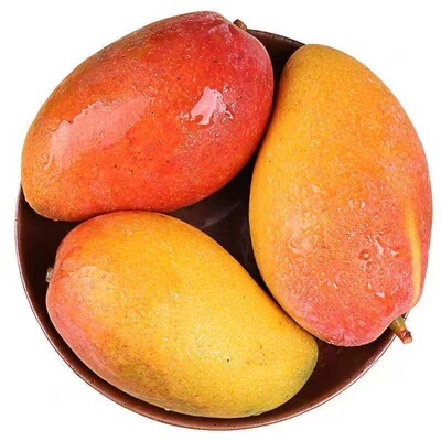 海南贵妃芒果薄皮小果