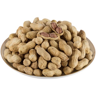 玉莲春核桃陈皮花生500g带壳核桃味香脆花生米坚果炒货休闲零食品