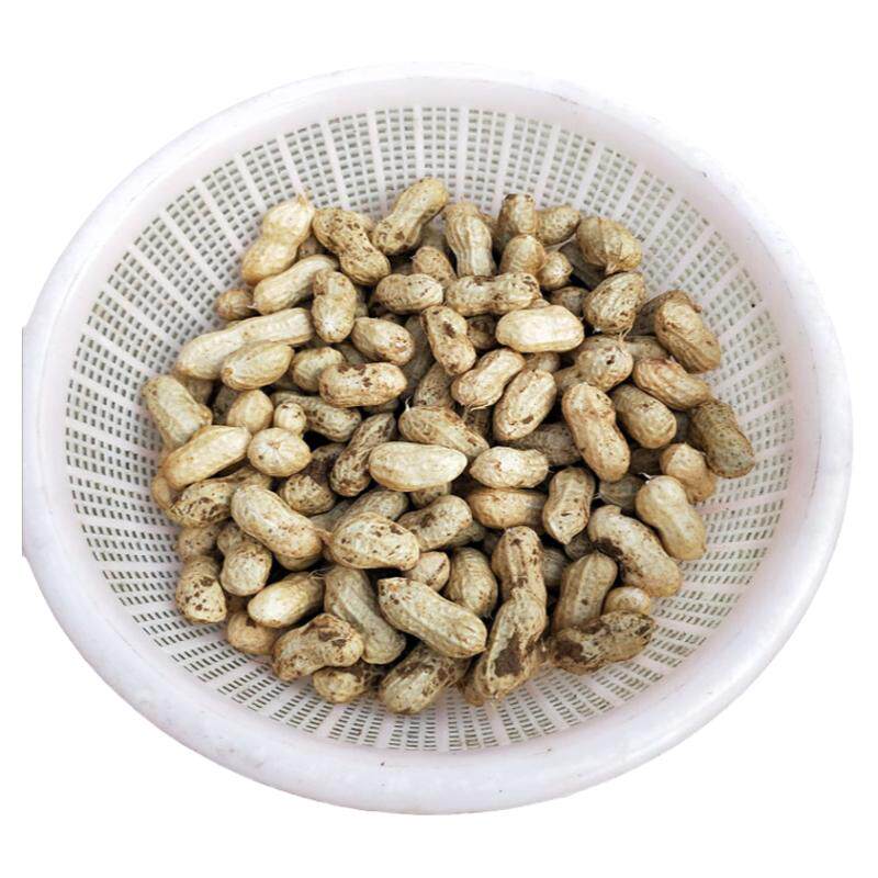 农家自种2026新鲜湿花生现挖泥红皮花生带壳粉皮小花生可水煮花生