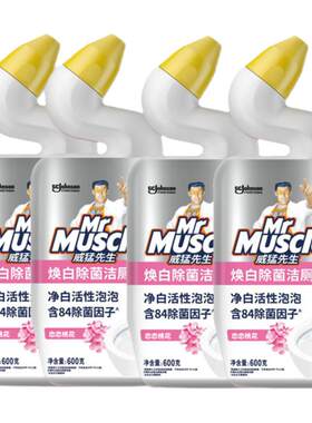 威猛先生洁厕灵桃花清香