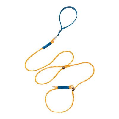 赛级狗狗牵引绳p绳p链防爆冲