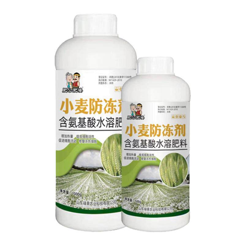 麦子小麦专用防冻剂叶抗寒