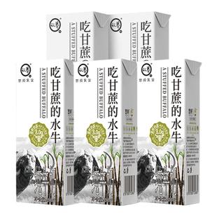 【高钙水牛奶】【每盒8g乳蛋白】认养吃甘蔗的水牛奶0乳糖水牛奶