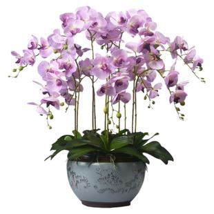 蝴蝶兰仿真花大号手感兰花盆栽假花客厅玄关大堂前台装饰花艺摆件