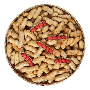 小孟 红皮花生2025新货米衣炒货熟生花生带壳新鲜晒干生的原味