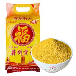 景蔚五谷香旗舰店蔚州小米新米桃花黄小米杂粮贡米石磨小米粥特产
