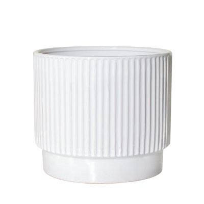 陶瓷花盆家用白色简约客厅蝴蝶兰