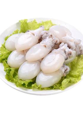 嵩海生鲜新鲜小墨鱼仔