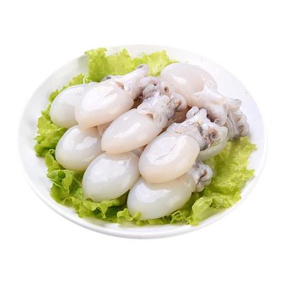 嵩海生鲜新鲜小墨鱼仔