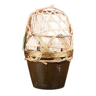 古越龙山绍兴黄酒状元红2020年冬酿20斤无焦糖色花雕酒10L坛15度