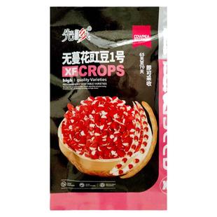 先风无蔓花豇豆种子 东北豇豆江豆姜豆种籽 香糯好吃煮粥庭院蔬菜