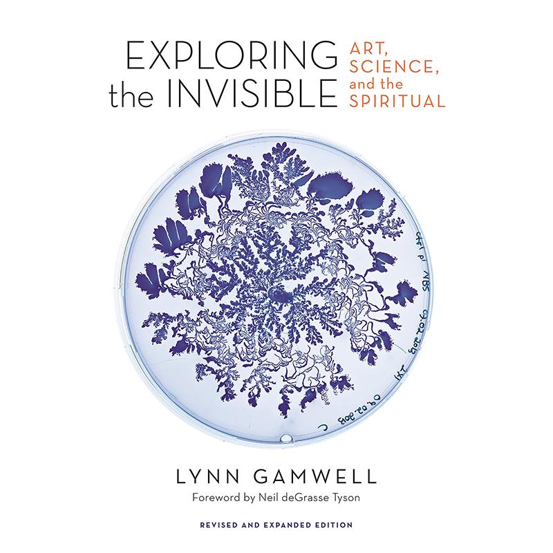 【预售】Exploring the Invisible: Art Science and the Spiritual Revised and Expanded Edition探索无形： Lynn Gamwell艺术