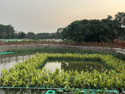 生态浮岛人工生态x浮床水上绿化池塘河道景观造景种植水生植物净