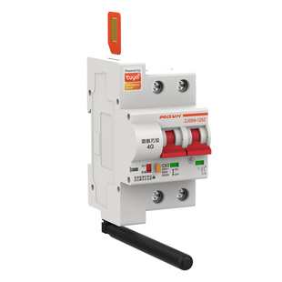 涂鸦三网通智能空开远程控制手机APP无线遥控开关物联网4G断路器