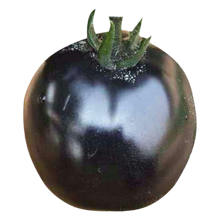 黑妖姬樱桃黑番茄种子水果圣女果西红柿种籽四季阳台盆栽蔬菜种孑