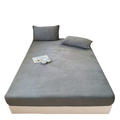 【A级母婴可用】牛奶绒床笠单件