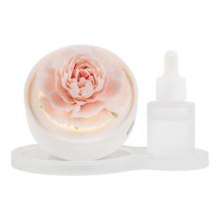 花韵诗拾光芍药非遗陶瓷花夜灯香薰礼盒高级感氛围灯女生生日礼物