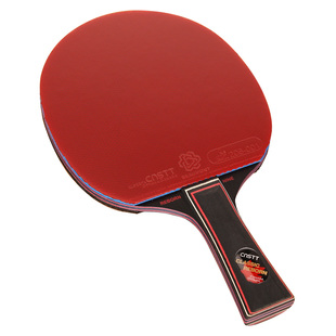CnsTT凯斯汀专业乒乓球拍睿博9底板胶皮高级兵乓球拍乒乓拍套装横
