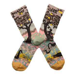 BONNE MAISON法国进口设计师潮牌炸街彩袜光影中袜四季搭网红棉袜