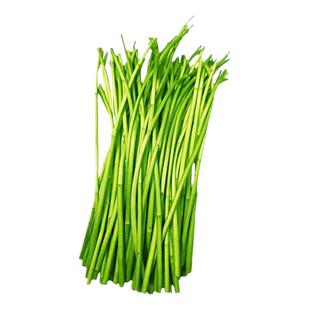 藜蒿3斤去老根去叶当季芦蒿新鲜黎蒿新鲜蔬菜野菜农家鲜嫩泥蒿蓠