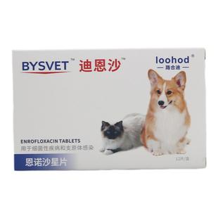 路合迪恩诺沙星宠物猫咪犬消炎感冒咳嗽打喷嚏鼻涕尿路感染拜有利