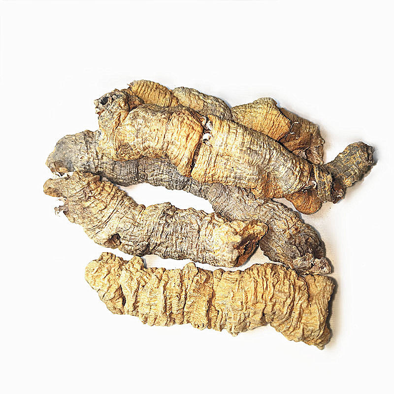 地道高要巴戟天现挖野生包邮鸡眼藤持久鸡肠风配怀牛膝盆覆子更佳