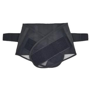 光盘拔河团建拓展游戏道具趣味比赛室内彩虹圈转光盘玩具活动项目